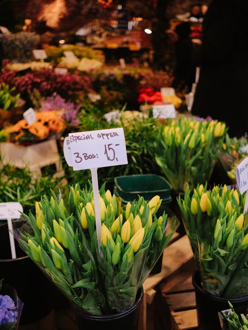 A display of vibrant yellow tulips with closed buds and lush green leaves arranged in clear plastic wrapping, placed in black pots at a flower market. The tulips are positioned in the foreground, with